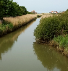 AMBLETEUSE - BAIE DE SLACK-pas-de-calais