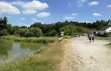 WIZERNES - RANDO DES DEUX VALLEES-pas-de-calais