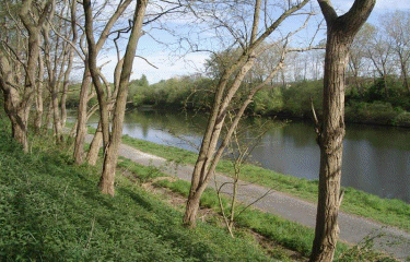 GIVENCHY-LES-LA-BASSEE-pas-de-calais