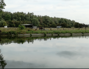 BILLY-BERCLAU - LES ETANGS DE WINGLES-pas-de-calais
