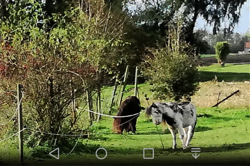 CUINCHY - LE SENTIER LES FONTAINES-pas-de-calais