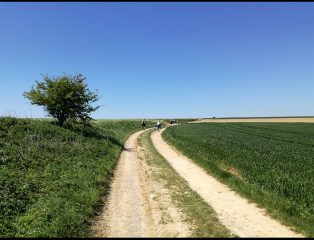 SAINT-INGLEVERT - SENTIER DE L ABBAYE-pas-de-calais
