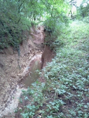 LE BOIS DE MONT - ABLAIN SAINT NAZAIRE-pas-de-calais
