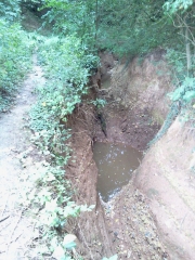 LE BOIS DE MONT - ABLAIN SAINT NAZAIRE-pas-de-calais