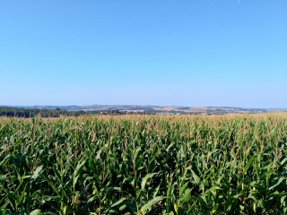 HERBINGHEN - LE MONT DAUPHIN-pas-de-calais