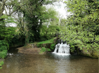 LA THIEULOYE - CIRCUIT DU BOIS MADAME-pas-de-calais