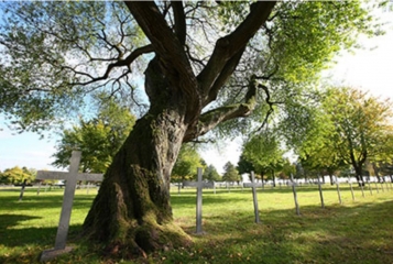NEUVILLE-ST-VAAST - LE SENTIER DU SOUVENIR-pas-de-calais