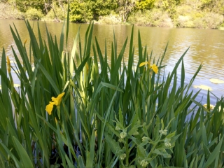 AUTOUR D ECOURT ST QUENTIN-pas-de-calais