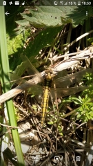 AUTOUR D ECOURT ST QUENTIN-pas-de-calais