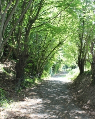 MAMETZ - LES TROIS CLOCHERS-pas-de-calais