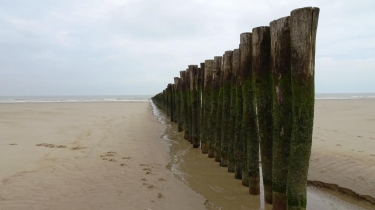 LE PLATIER D OYE-pas-de-calais