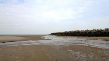 LE PLATIER D OYE-pas-de-calais