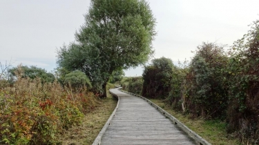 LE PLATIER D OYE - VERSION FAMILIALE-pas-de-calais