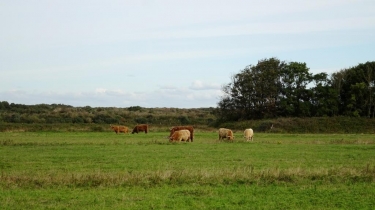 LE PLATIER D OYE - VERSION FAMILIALE-pas-de-calais