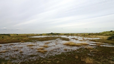 OYE-PLAGE-pas-de-calais