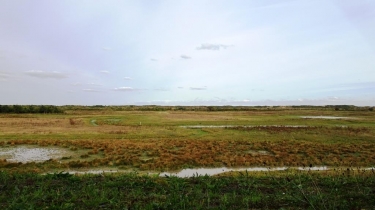 OYE-PLAGE - PETITE BOUCLE-pas-de-calais