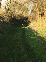 ROUVROY - TOURNEE DES VILLAGES-pas-de-calais