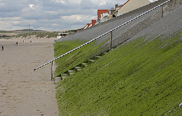 SENTIER DU FARTZ-pas-de-calais
