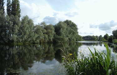 LA HOULLE-pas-de-calais