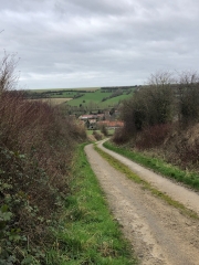 HESDIN ET SA FORET-pas-de-calais