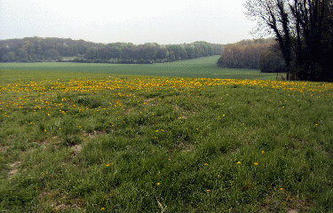 SOUCHEZ-pas-de-calais