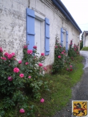 3 JOURS  VERS ARRAS-pas-de-calais