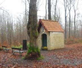 RANDO FORET EPERLECQUES-pas-de-calais