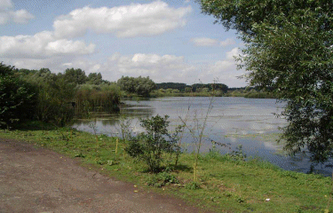 Autour des marais-pas-de-calais