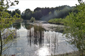 BILLY BERCLAU - LES FLOTS DE WINGLES-pas-de-calais
