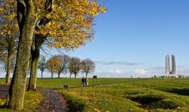 MEMORIAL DE VIMY -  TERRIL DES PINCHONVALLES-pas-de-calais