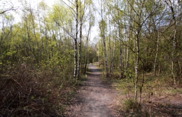 MEMORIAL DE VIMY -  TERRIL DES PINCHONVALLES-pas-de-calais