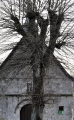 caps-et-marais-d-opale - LES CHAPELLES