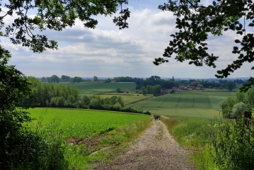 HOULLE -  DE LA HOULLE A L AA-pas-de-calais