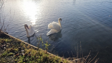ANNAY - LE MARAIS-pas-de-calais