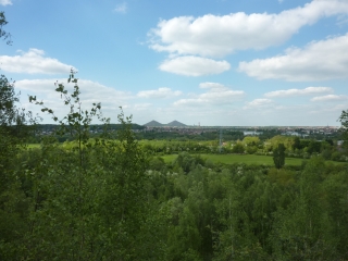 TERRIL DE PINCHONVALLES-pas-de-calais