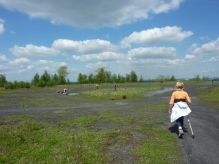 TERRIL DE PINCHONVALLES-pas-de-calais