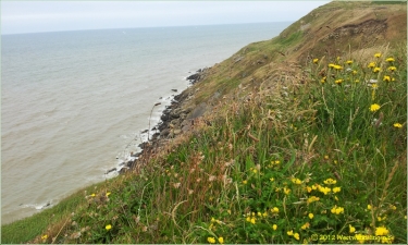 CAP ALPRECH-pas-de-calais