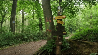 GOUY SERVINS - ENTRE BOIS ET CAMPAGNE-pas-de-calais