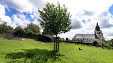 BUIRE-AU-BOIS - SENTIER DES MOULINS-pas-de-calais