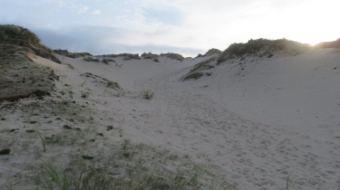 CUCQ - DUNES DE STELLA PLAGE-pas-de-calais