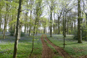 VERCHOCQ - LA TURQUIE (BALISAGE )-pas-de-calais