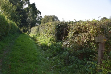 COUPELLE NEUVE - LE TOUR DES HAIES (BALISAGE JAUNE)-pas-de-calais