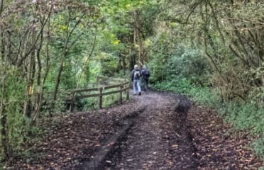 WINGLES - LES ETANGS-pas-de-calais