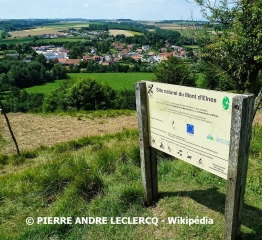 caps-et-marais-d-opale - WAVRANS-SUR-L'AA - SENTIER DES GENéVRIERS