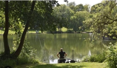 LENS - FRESQUES ET PARC