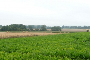 SAMER - LA BLANCHE JUMENT-pas-de-calais