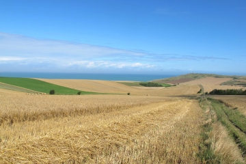 DE SOMBRE AU CAP BLANC NEZ-pas-de-calais