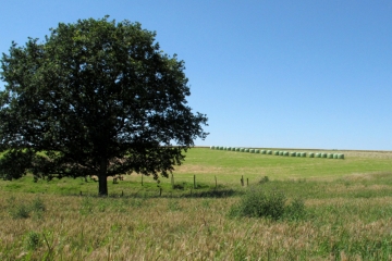 VERCHIN - LE CLOCHER TORDU-pas-de-calais