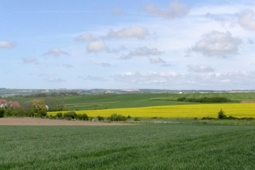 MARQUISE - LE MONT PINEL.