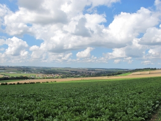 WAVRANS - LE MONT DE GEANT-pas-de-calais